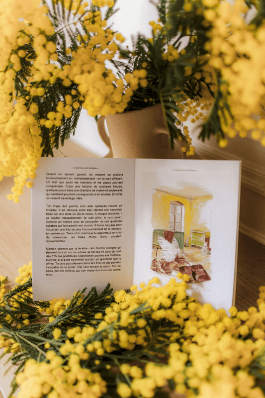 photo livret devant fleurs jaunes